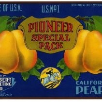 Pioneer Special Pack