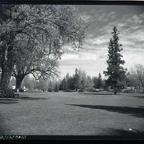 Land Park Pond and Picnic Tables