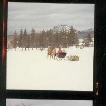 1983 Crystal Creamery Christmas card