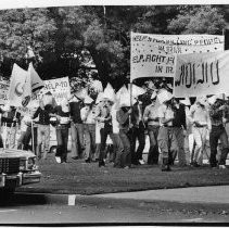 Iran protest