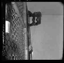 Negative, Safety, Unknown