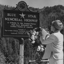 Blue Star Highway Marker