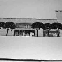 Negative, Safety, Unknown