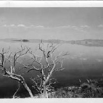 Mono Lake and Paoha Island