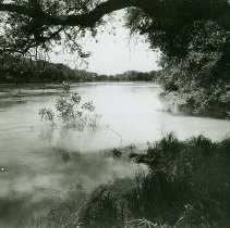 River Scene