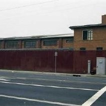 Richards Blvd. Tree planting beautification project