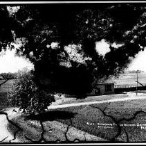 Negative, Glass Plate