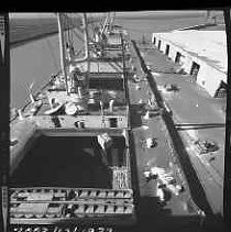 Negative, Safety, Unknown