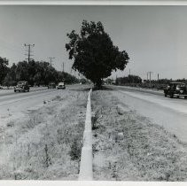 US Highway 99