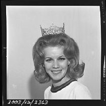 Negative, Safety, Unknown