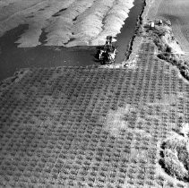 Print, Photographic, Black and White