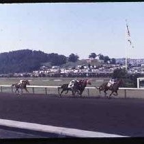 Golden Gate Fields racehorse track