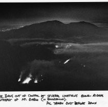 Forest Fires at Night