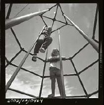 Negative, Safety, Unknown