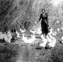 Alta Dewey and Chickens