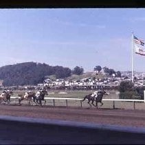Golden Gate Fields racehorse track