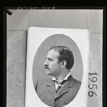 Negative, Safety, unknown