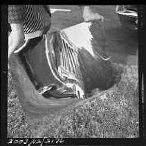 Negative, Safety, Unknown