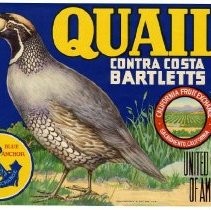 Quail Brand