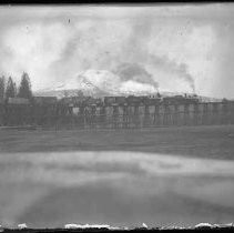 Negative, Glass Plate