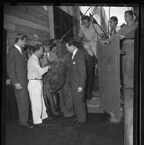 Negative, Safety, Unknown