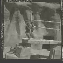 Negative, Safety, Unknown