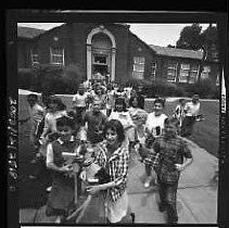 Negative, Safety, Unknown