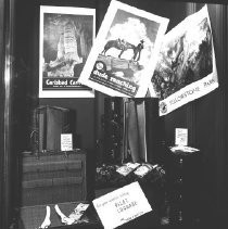 Weinstock's Window Display