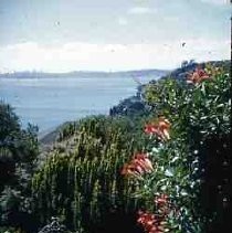 View from front porch