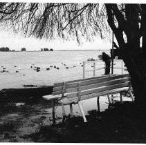 Water Near Isleton City Hall