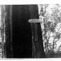 Sign for Donner Emigrant Trail