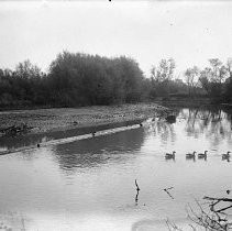 River Scene