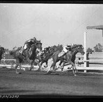 Negative, Safety, Unknown