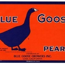 Blue Goose brand