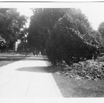 Exterior view of the California State Capitol grounds during upgrades to the sidewalks and walkways. This view is looking south