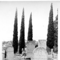 Mountain View Cemetery - several gravestones