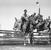 Horse Jumping