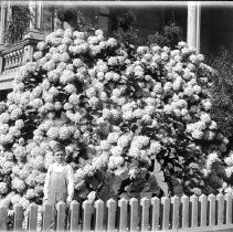 Young boy posing outdoors