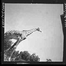 Negative, Safety, Unknown