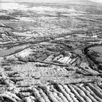 Print, Photographic, Black and White