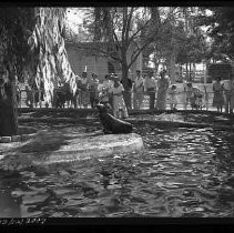 Negative, Safety, Unknown