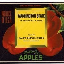 Washington State Okanogan Valley Apples