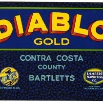 Diablo Gold