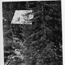 Print, Photographic, Black and White