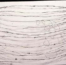 The 70th Annual Crocker-Kingsley Exhibition