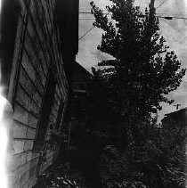 Negative, Safety, Unknown