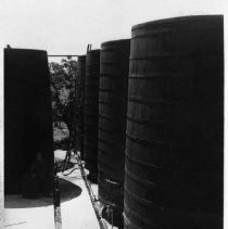 Negative, Safety, Unknown