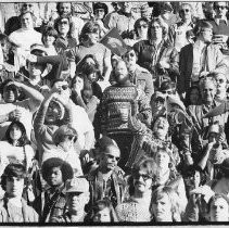 The Crowd at the Pig Bowl