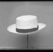 Negative, Glass Plate