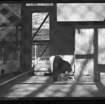 Negative, Safety, Unknown